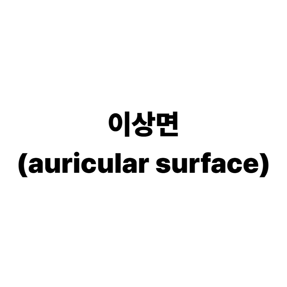 이상면