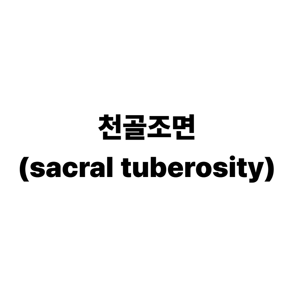 천골조면