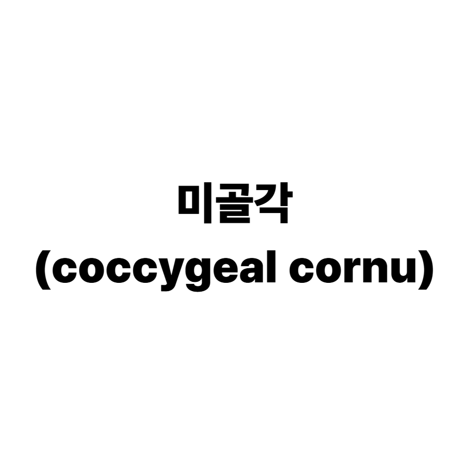 미골각