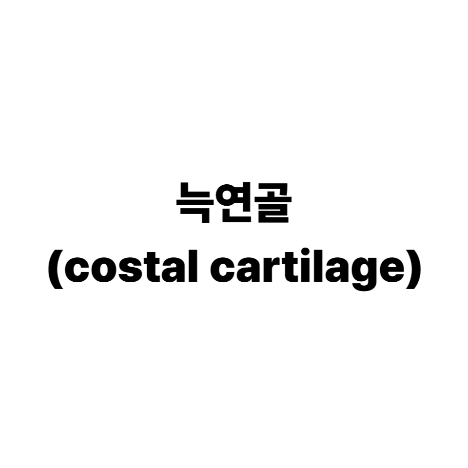 늑연골