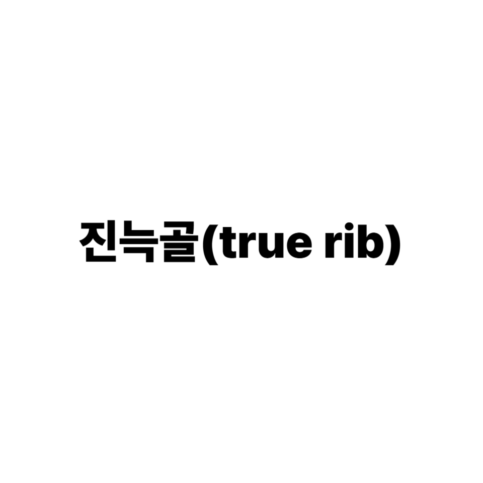 진늑골