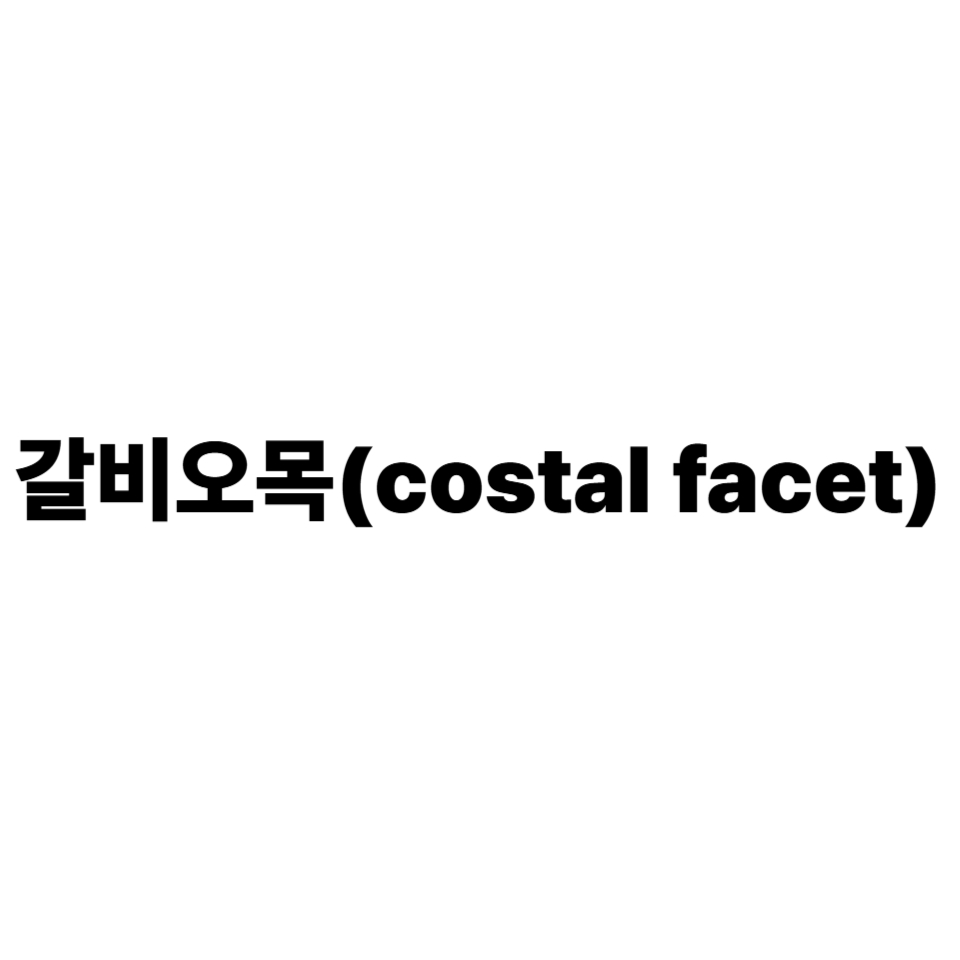 갈비오목