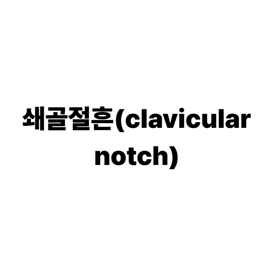 쇄골절흔