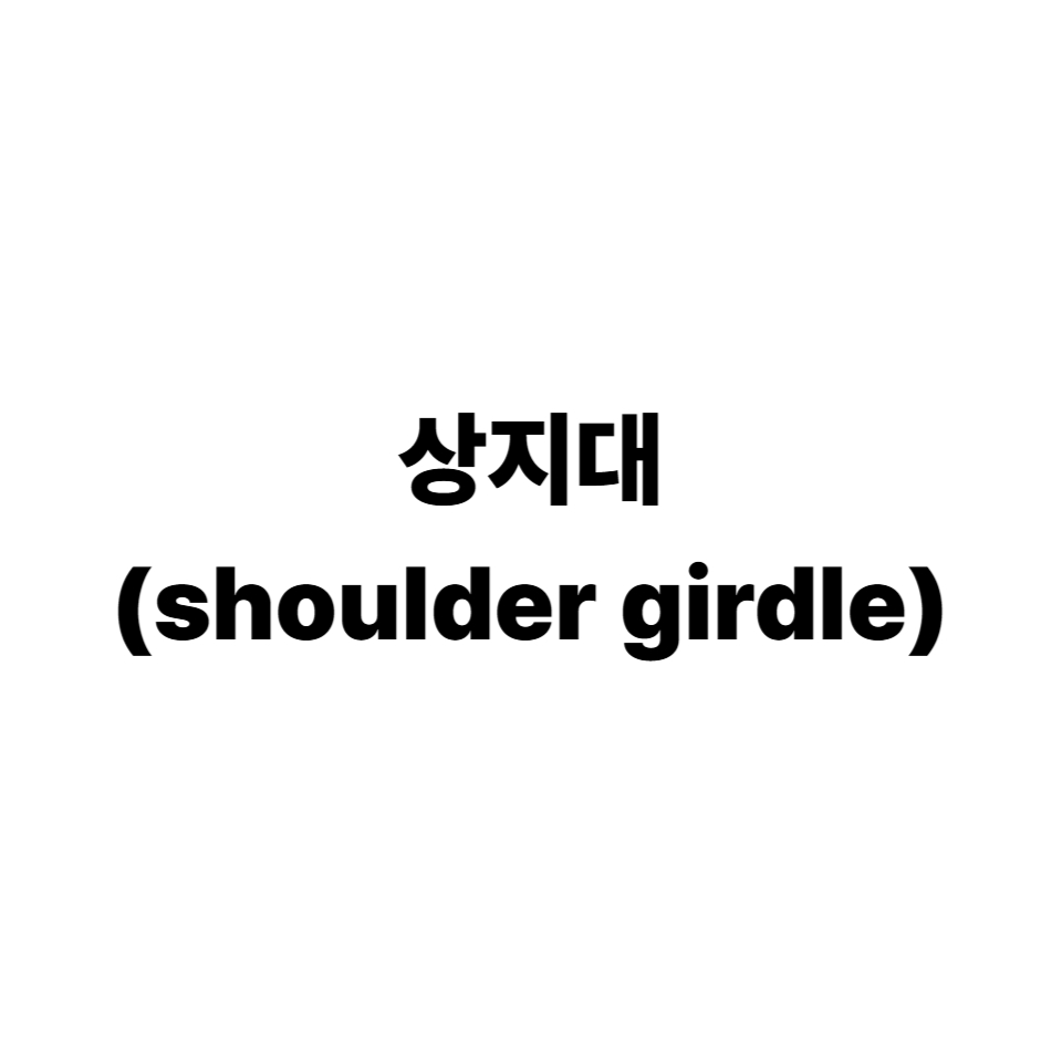 상지대