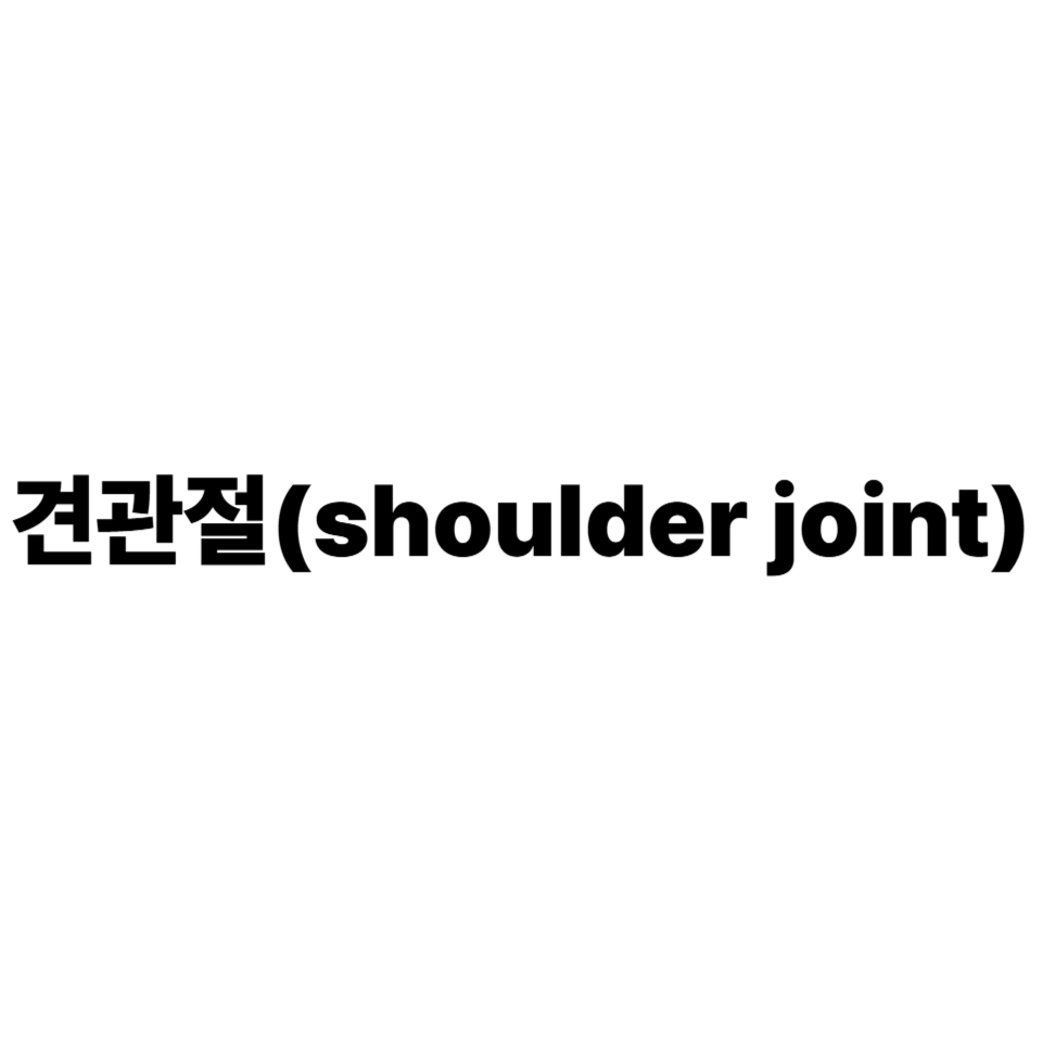 견관절