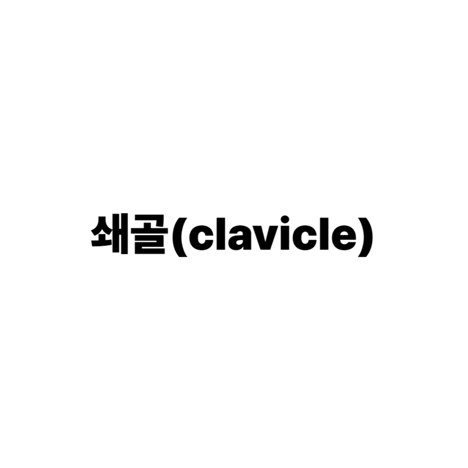 쇄골