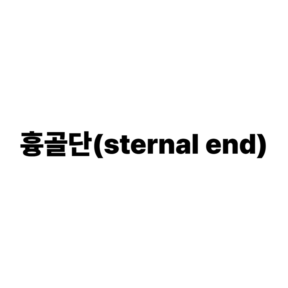 흉골단