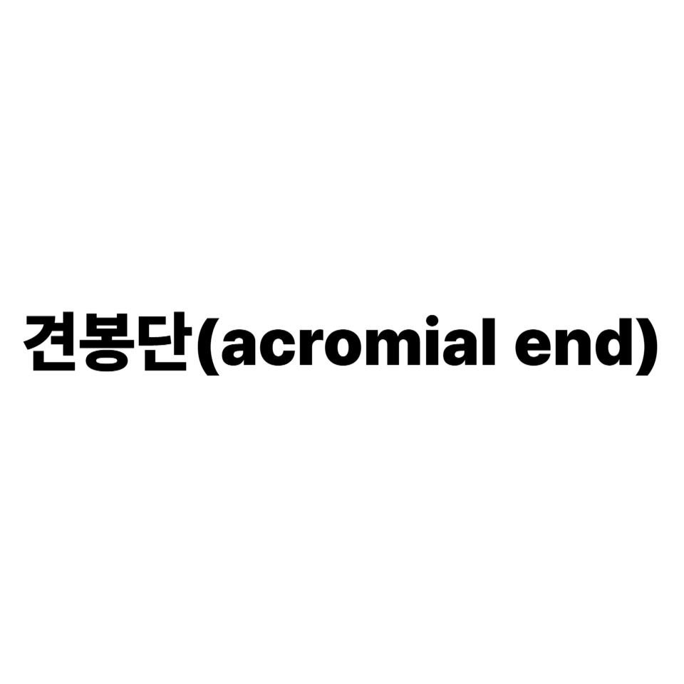 견봉단