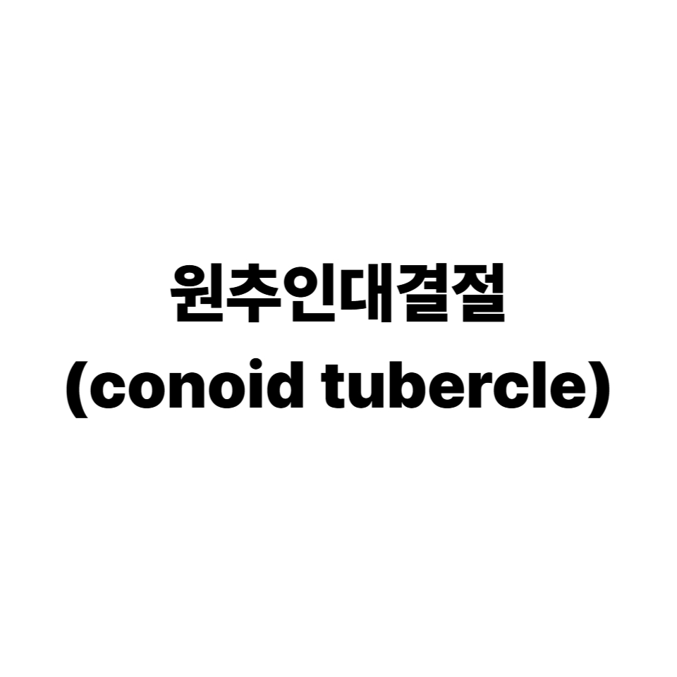 원추인대결절