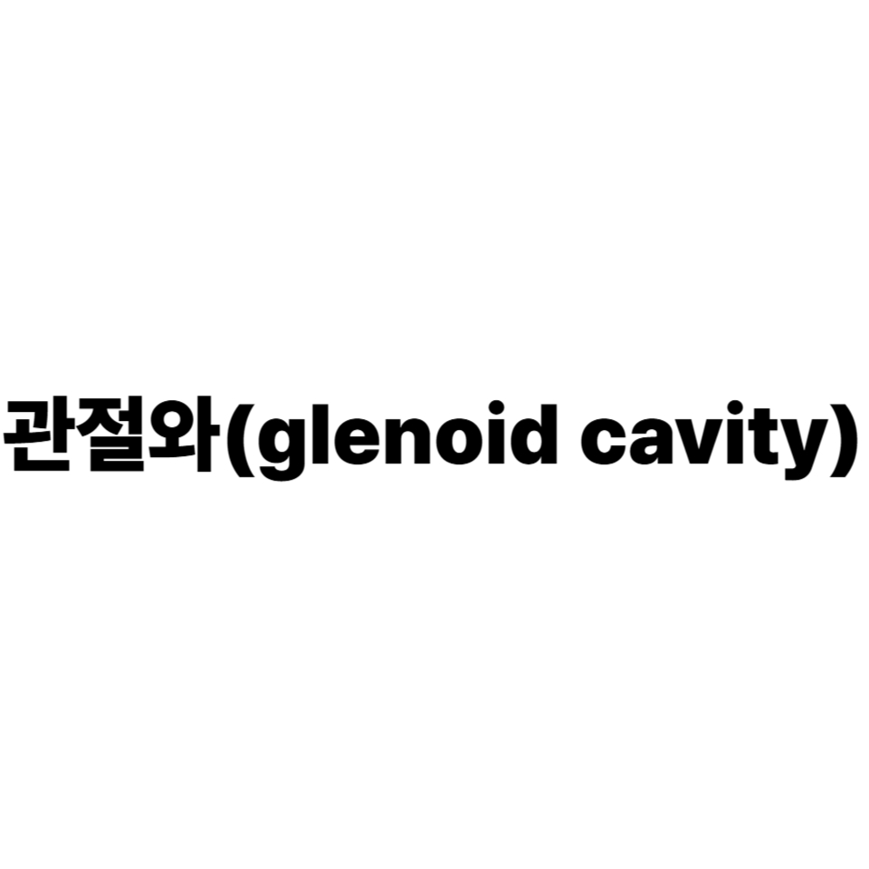 관절와