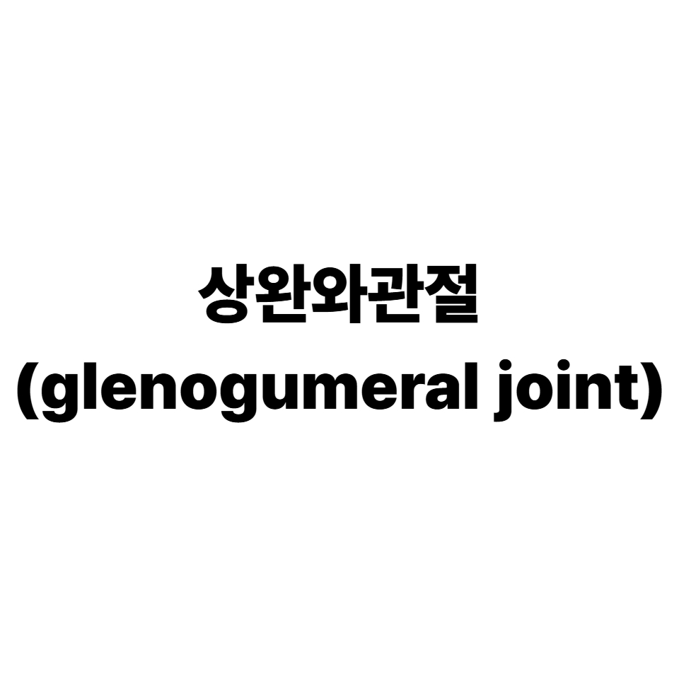 상완와관절