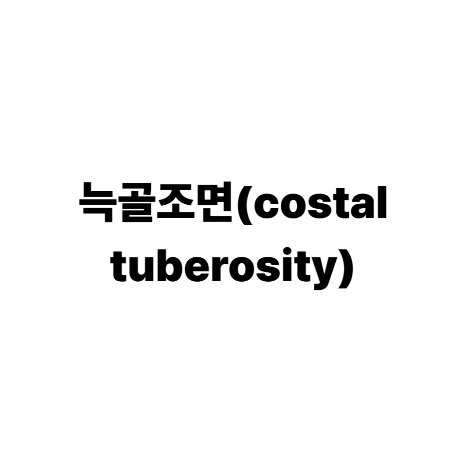 늑골조면