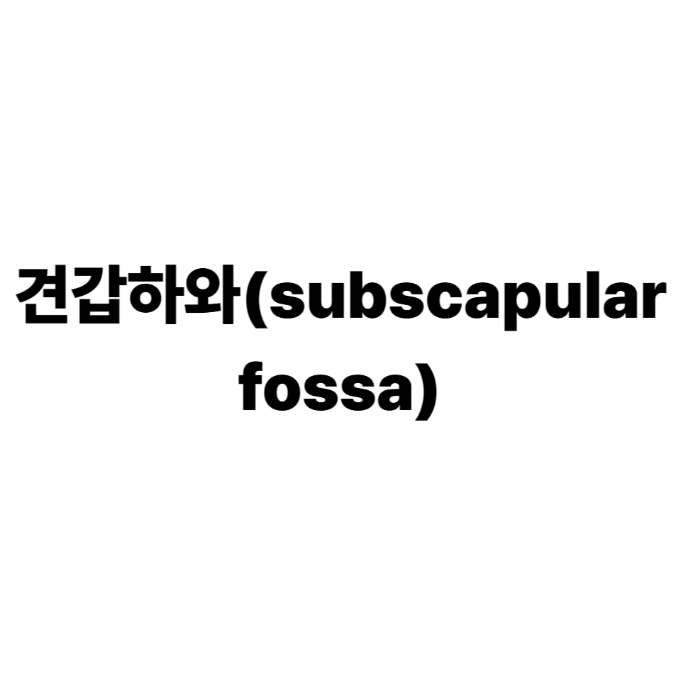 견갑하와
