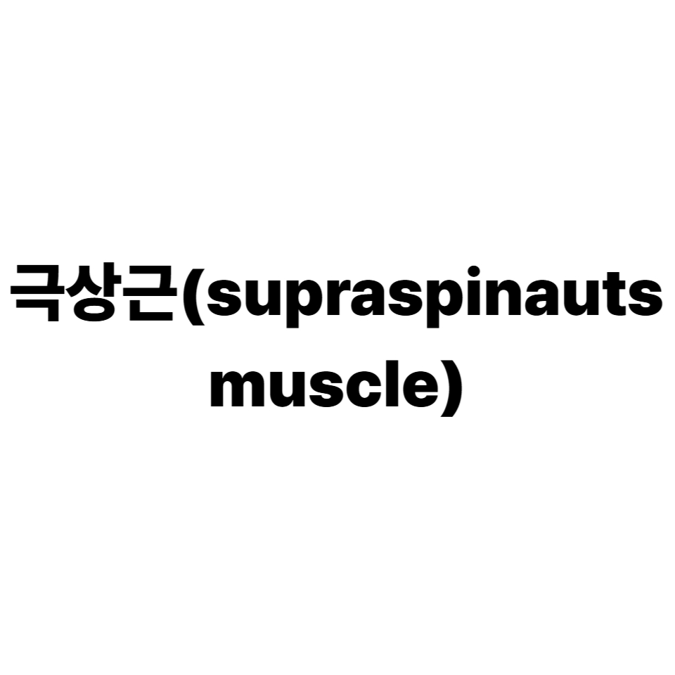 극상근
