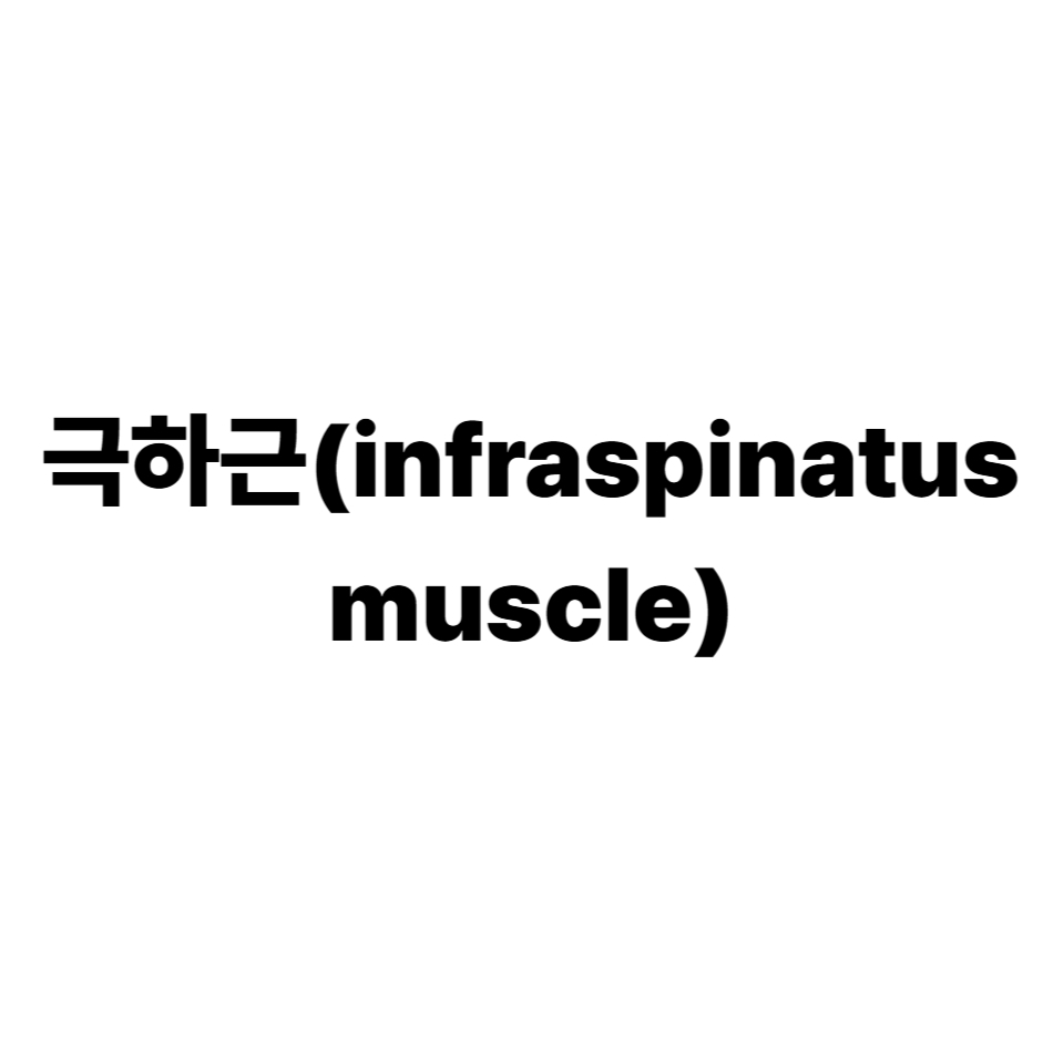 극하근