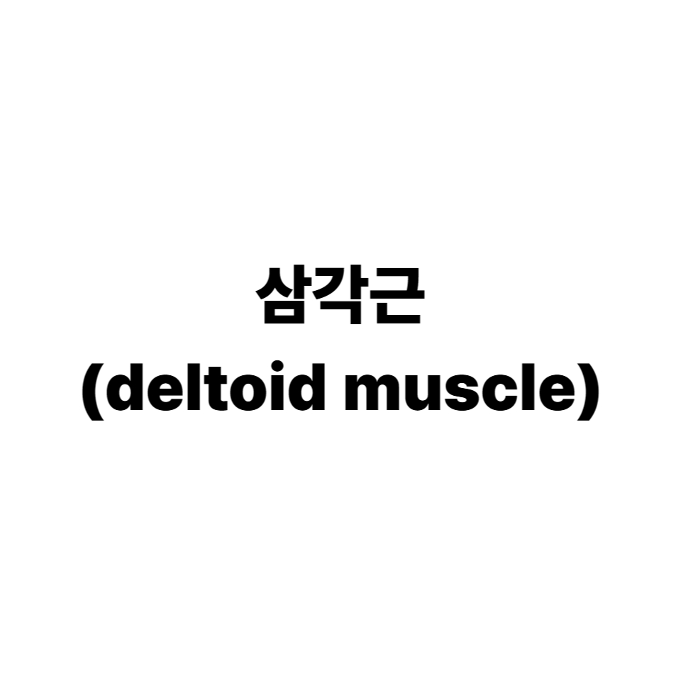 삼각근
