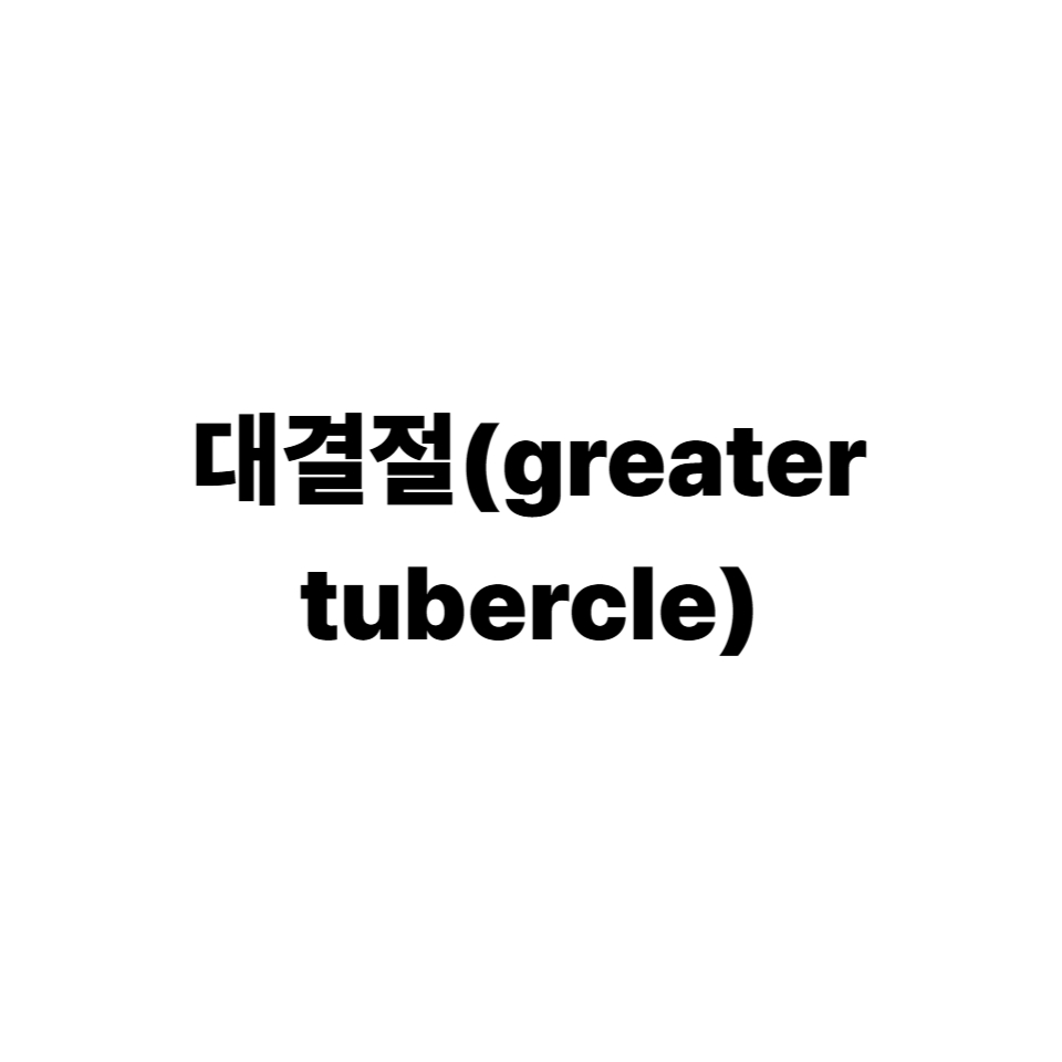 대결절