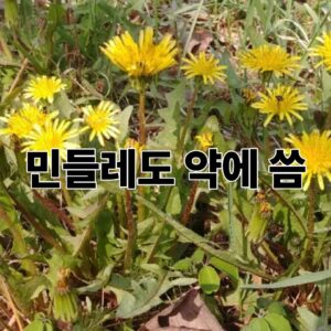 제목을 입력해주세요. 2026 04 01T143533.154