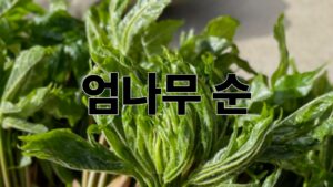 제목을 입력해주세요. 2026 04 29T160559.448
