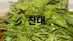 제목을 입력해주세요. 2026 04 29T203406.749