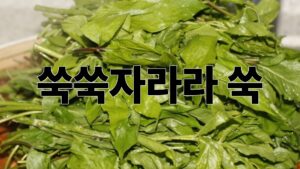 제목을 입력해주세요. 2026 04 29T220019.132