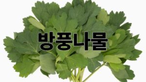 제목을 입력해주세요. 2026 04 30T074928.627