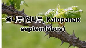 건강 블로그 썸네일 11