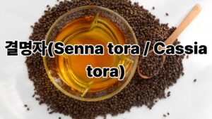 결명자(Senna tora / Cassia tora) 3 건강 블로그 썸네일 4