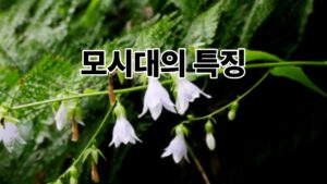모시대의 특징