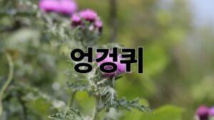 제목을 입력해주세요. 2026 05 03T193125.565