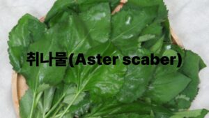 취나물(Aster scaber)
