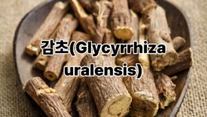 달디단 감초(Glycyrrhiza uralensis) 9 감초