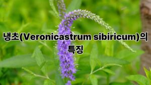 제목을 입력해주세요. 6