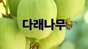 제목을 입력해주세요. 11