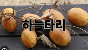 제목을 입력해주세요. 12
