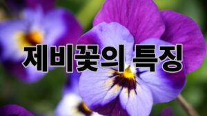 제목을 입력해주세요. 14