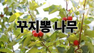제목을 입력해주세요. 17