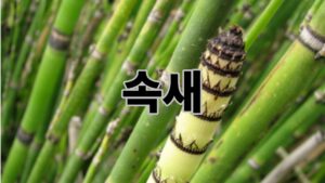 제목을 입력해주세요. 18