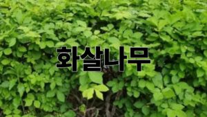 제목을 입력해주세요. 20