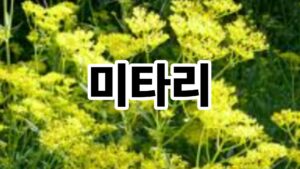 제목을 입력해주세요. 21