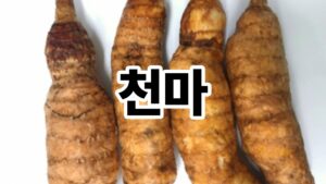 제목을 입력해주세요. 22