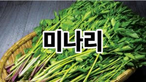 미나리