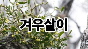제목을 입력해주세요. 26