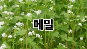 제목을 입력해주세요. 38