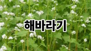 제목을 입력해주세요. 39