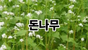 제목을 입력해주세요. 40 1