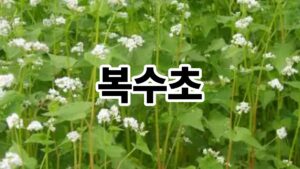 제목을 입력해주세요. 41