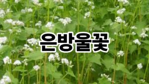 제목을 입력해주세요. 42