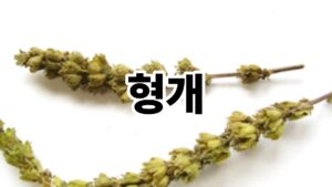 형개 우리 몸에 이로운 전통 약초 알아보기 2 형개 우리 몸에 이로운 전통 약초