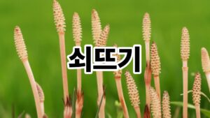 제목을 입력해주세요. 46